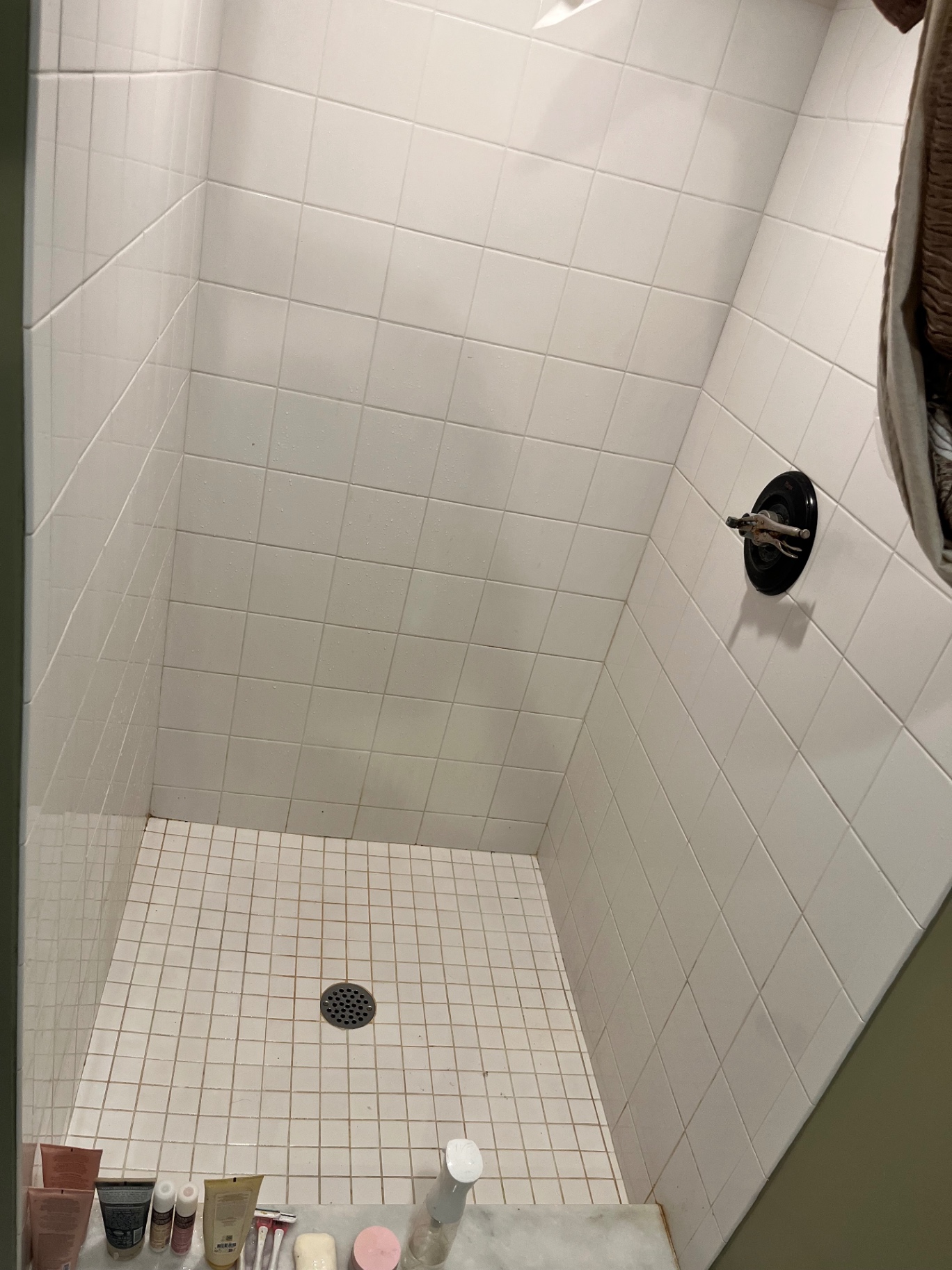 Bright, scrubbed shower stall with clean grout after a Clean & Shine visit