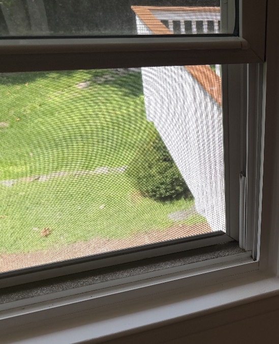 Window screen and sill with dust and debris before a Clean & Shine visit