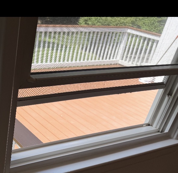 Spotless window glass, screen and sill after a Clean & Shine visit